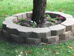 Our first rebuilt bed.