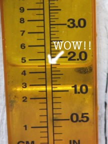 raingauge Rain in our rain gague. October 8, 2008..