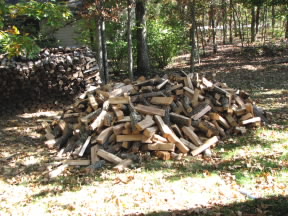 woodpile Wood to be stacked in our yard. October 15, 2008.