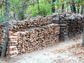Our woodpile.  October 21, 2008.