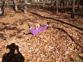 betsyleaves Betsy 'working' on the leaves. Fairfield Glade, October 2007.