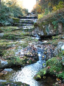 Serenity Falls, Cosby, Tennessee.  November 10, 2008.