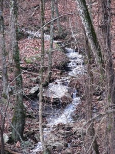 Water tumbling down the escarpment near Grandview, Tennessee.