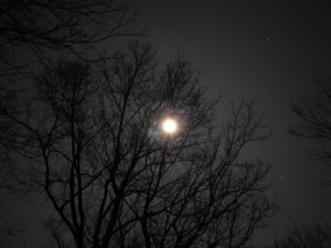 moonfairfield08121203 moonfairfield08121203