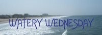 waterywed2c