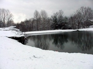 a-pond-on-the-14th-fairway The 14th fairway of Druid Hills. February, 2006.
