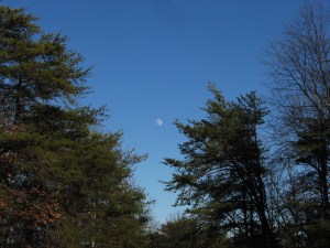 The moon in a blue sky at Fall Creek Falls State Park, Tennessee.  January 8, 2009.