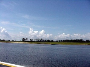 littleriverinlet0106001 Little River Neck, South Carolina. June, 2001.