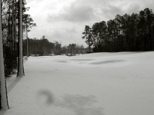 River Hills golf course, Little River, South Carolina.  January 25, 2000/