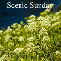 scenicsunday scenicsunday