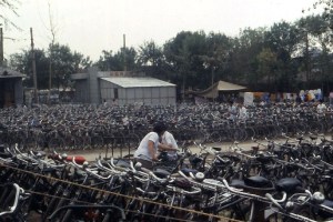 Bicycles at Tianjin zoo.  Summer, 1987.