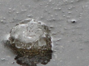 A large piece of hail.  February 18, 2009.