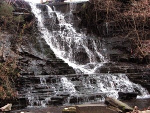 Pond Falls at Ledford Mill, Tullahoma, TN.  February 14, 2009.