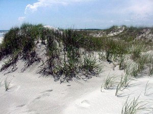 Sunset Beach, North Carolina.  June, 2001.