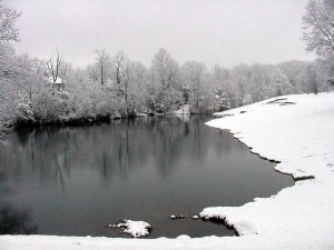 winterindruidhills Pond along the fourth hole of the Druid Hills Golf Course.