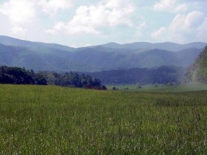 Cades Cove, Great Smoky Mountains National Park.  May, 2001.