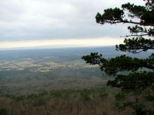The view from 'our' cabin on Mt. Nebo.  March 10, 2009.