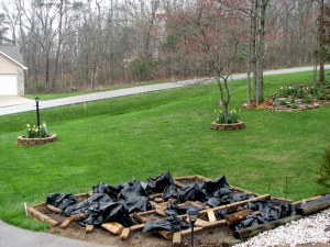 Our front yard, April 6, 2009.