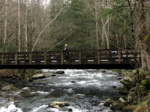 Betsy on a bridge over the Little Pigeon River.  March 28, 2009.