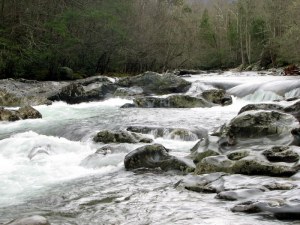 Greenbrier Cascade, Great Smoky Mountains.  March 28, 2009.