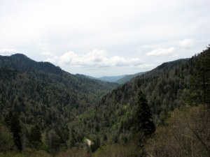 The Smoky Mountains on Newfound Gap Road.  May 10, 2009.