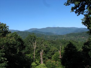 Morning view at the Otto cabin.  May 30, 2009.