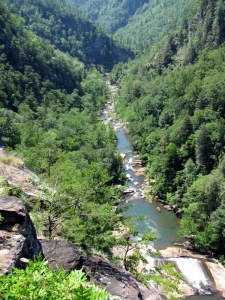The southern end of Tallulah Gorge.  Oceana Falls is in the foreground.