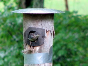 Ready to explore the world.  July 26, 2009.