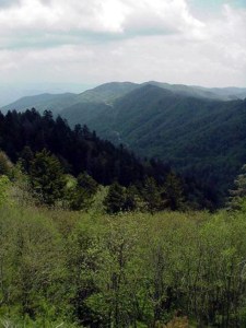 Newfound Gap, Great Smoky Mountains.  May 19, 2001.