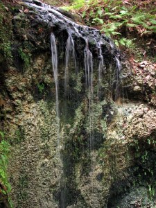 FallingWatersFalls09080601 The top of Falling Waters Falls, Florida. August 6, 2009.