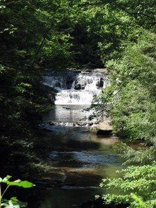 Falls on Waters Creek, Turners Corner, Georgia.  August 2, 2009.