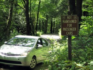 MrsPSign09080201 Mrs. P in the north Georgia Mountains. August 2, 2009.