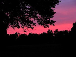 FairfieldRedSky090830 A Fairfield Glade evening sky. August 30, 2009.