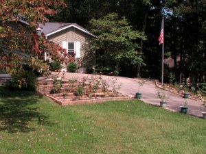 FrontYard09091301 Our front yard, Fairfield Glade, Tennessee. September 13, 2009.
