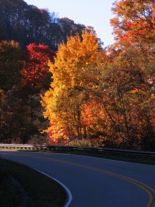 Color along the Cherohala Skyway, North Carolina.  October 25, 2009.