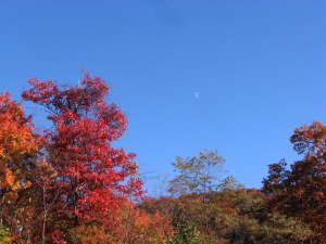 AutumnSky09102501