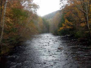 Little River at Metcalf Bottoms Picnic Area, Smoky Mountains, Tennessee.
