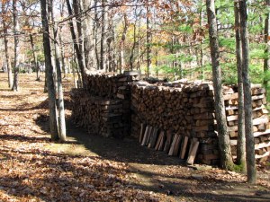 Woodpile01110201 Woodpile01110201