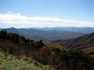 YellowFaceOverlook09102502