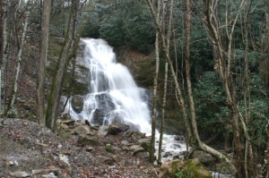 Hogskin Branch Falls