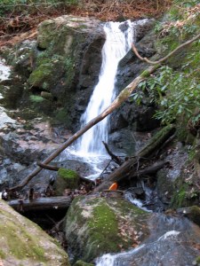 HogskinBranchFalls09112801