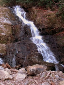 LowerClearBranchFalls09121001