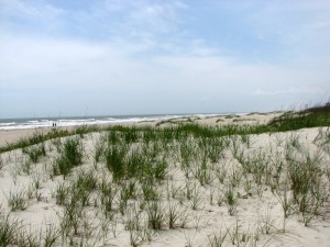 Dunes09050401