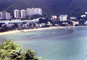 LoveIsAManySplenderedThing8701