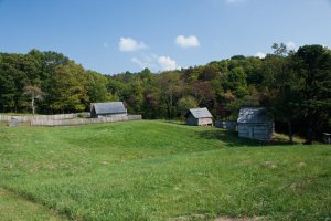 LigeGibbonsFarm10092301