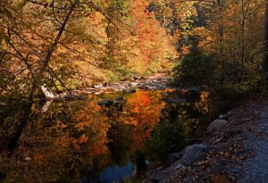 TellicoRiver10102101