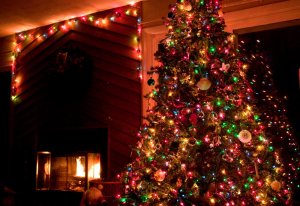 Our Christmas Tree, Fairfield Glade, Tennessee.  December 5, 2010.