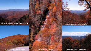 2009 -- Blue Ridge Parkway