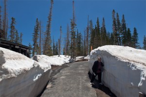 BetsySnowVisitorCenter11062010