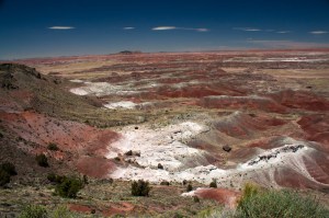 PaintedDesertKachinaPoint11061302